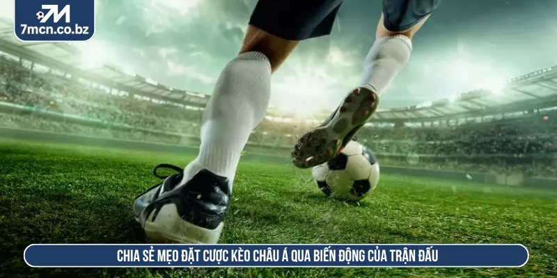 Kèo Châu Á Là Gì? Hướng Dẫn Cách Đọc Mức Chấp Bóng Đá Tại 7M 3 Dữ liệu các đội bóng giúp nhận định kèo châu Á là gì