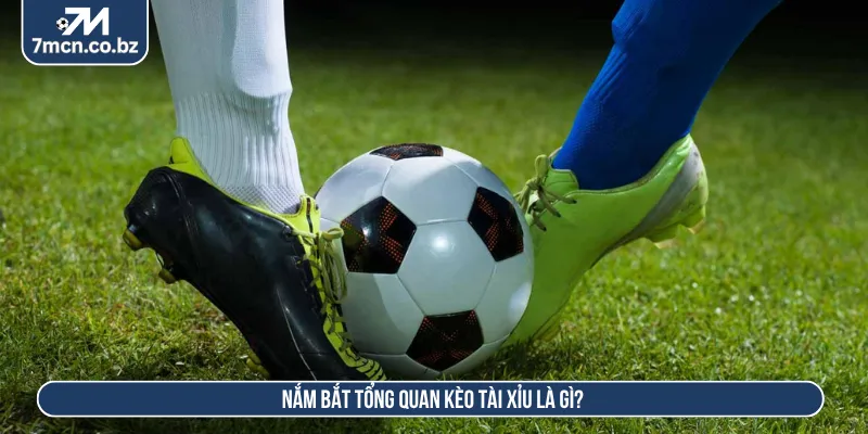 Kèo tài xỉu là gì nắm bắt cách hoạt động của tỷ lệ